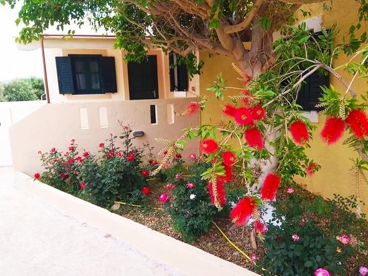 Kouremenos Beach Apartments Παλαίκαστρο Εξωτερικό φωτογραφία